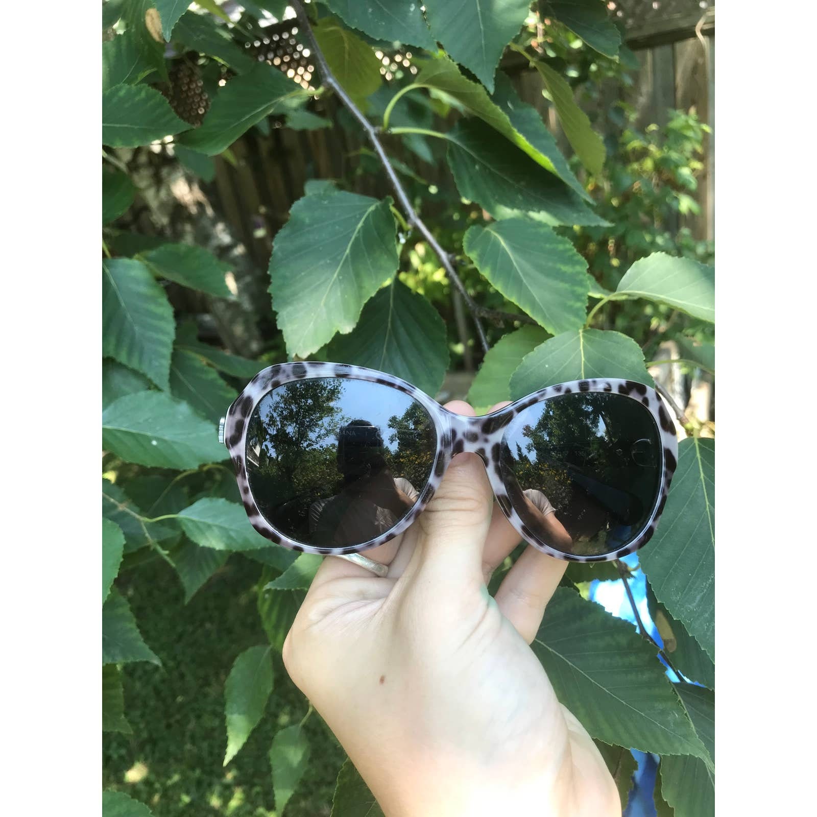 Dolce and gabbana sunglasses leopard print hot sale