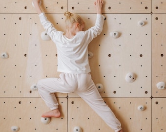 Kids Indoor Gym - Modular Wooden Climbing Wall Panels for Playrooms, M Size