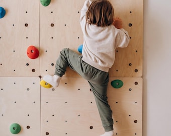 Colorful Climbing Holds for Kids - Set of 4 Ergonomic Indoor Wall Grips