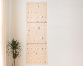Climbing Wall Panels for Kids - Large Birch Plywood Indoor Gym Set, L Size