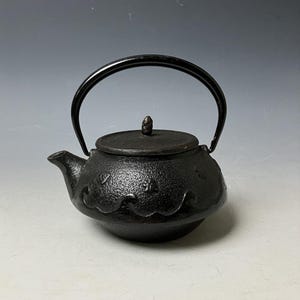 Japanese Nanbu Tetsubin Iron Teapot – Handcrafted in Japan w/ Strainer