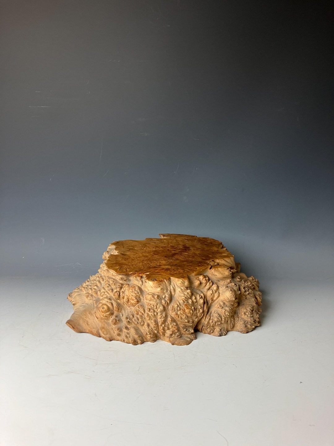 Japanese Burl Wood Bonsai Stand Handcrafted Vase Display Slab L.25cm/9.8inches - Etsy