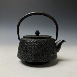 Vintage japanische Nanbu Tekki Teekanne aus Gusseisen mit Teesieb | Authentisch gebraucht