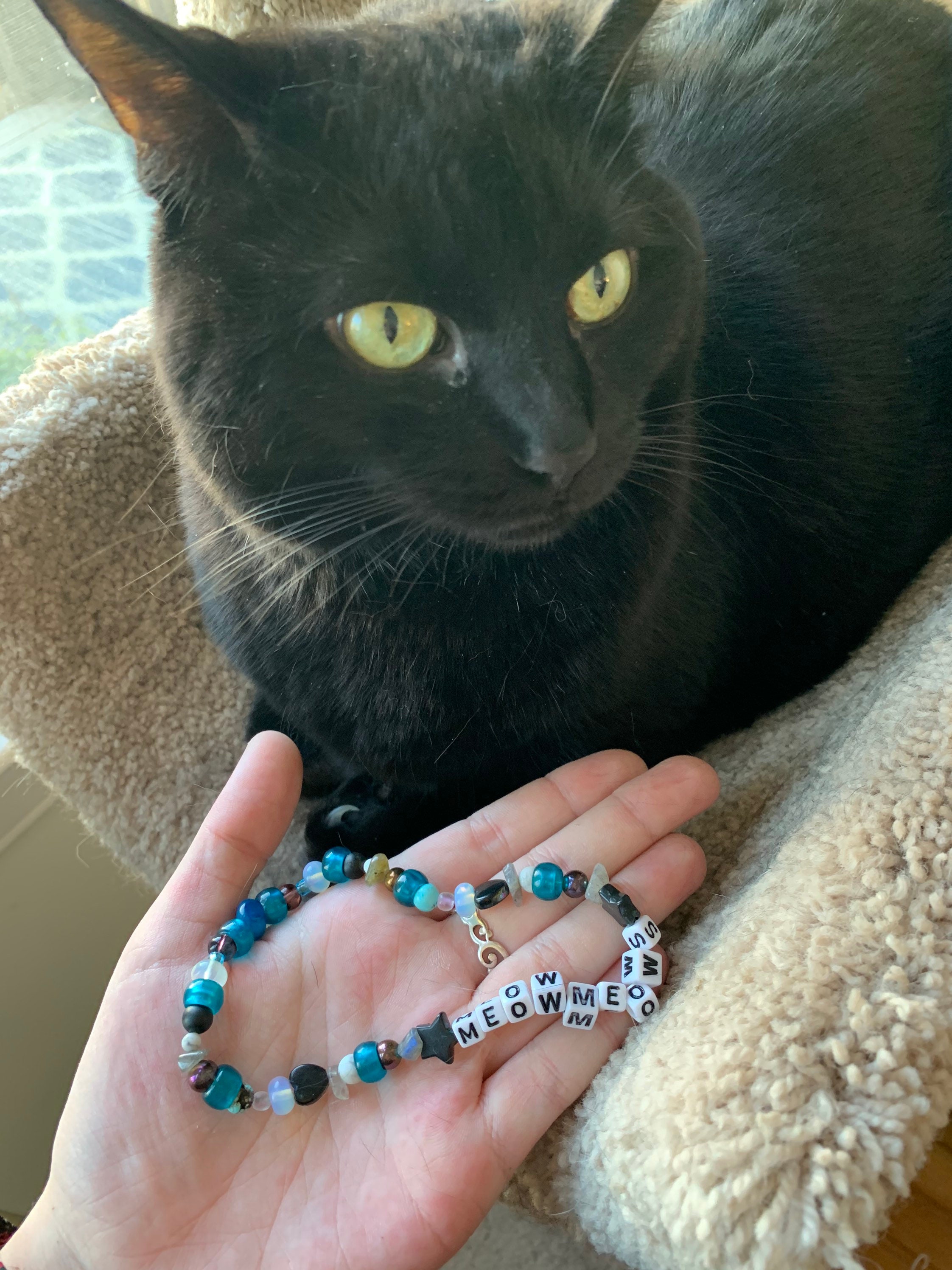 Cute Kitty Collar Etsy