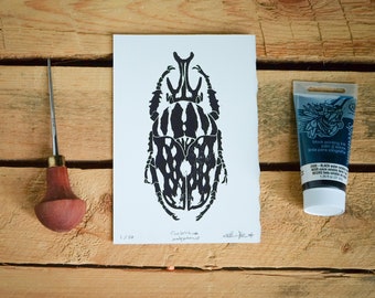 Beetle Linocut Print – Black and White 4x6 Insect Art – Handmade Woodcut Natural History Illustration