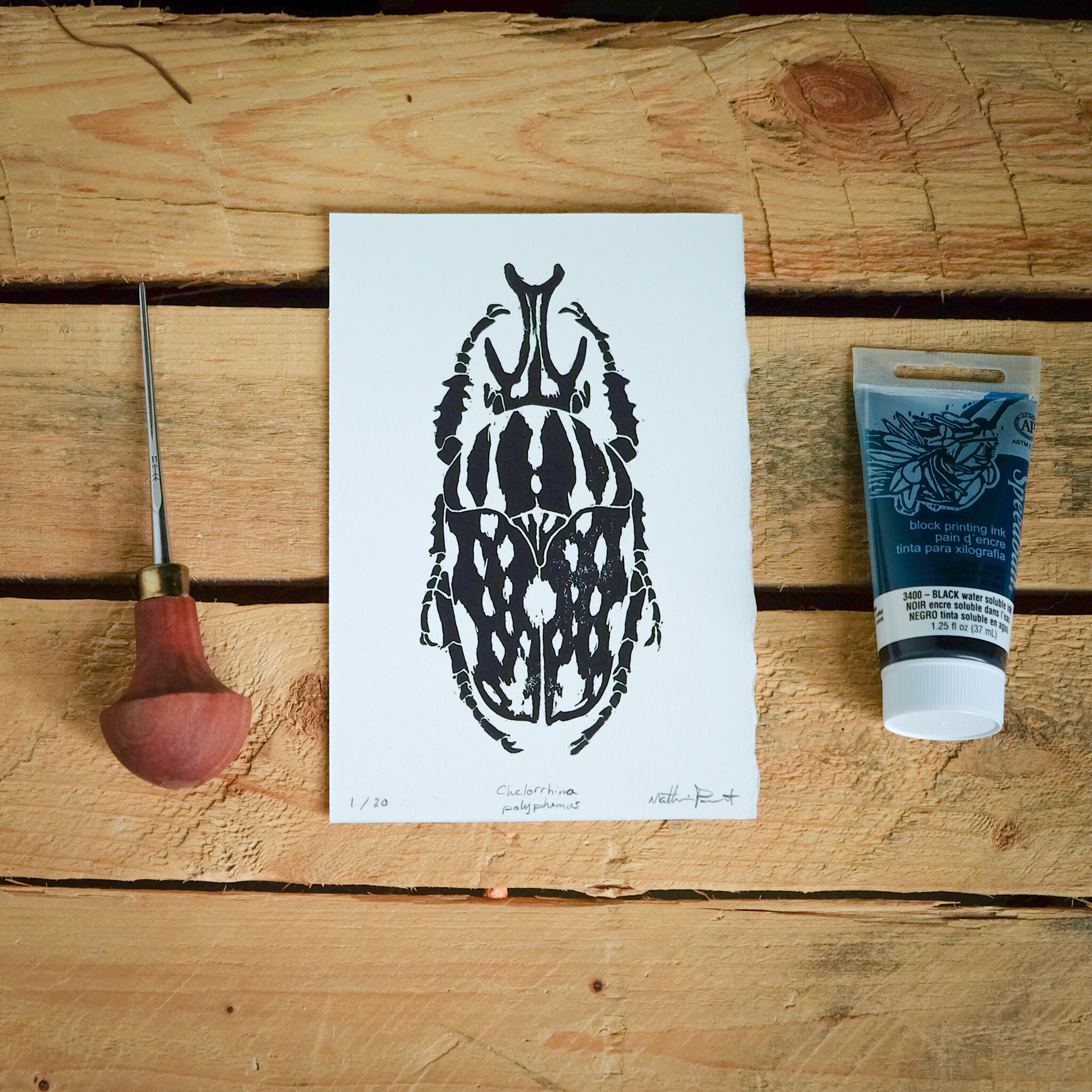 Insect Linocut Beetle Linocut Print – Black and White 4x6 Insect Art – Handmade ...