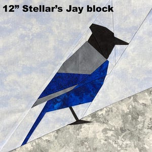 Può includere: Un blocco di 30 cm di ghiandaia di Steller, con un design geometrico. Il corpo dell'uccello è principalmente blu con una trama a motivi, contrastata da accenti grigi e neri. Lo sfondo presenta un motivo azzurro e bianco.