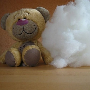 Könnte beinhalten: Ein beiger Teddybär mit brauner Nase und rosa Mund sitzt auf einer Holzoberfläche. Der Bär hat ein Schild auf seiner Brust, auf dem "JuJu" steht. Hinter dem Bären befindet sich eine große, weiße, flauschige Wolke.