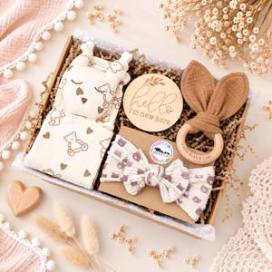 Baby Girl Gift Box, Pink Newborn Hamper with Bunny Comforter Pattern Bear Set