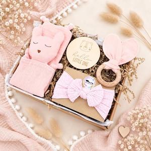 Baby Girl Gift Box, Pink Newborn Hamper with Bunny Comforter Pink Bear Set