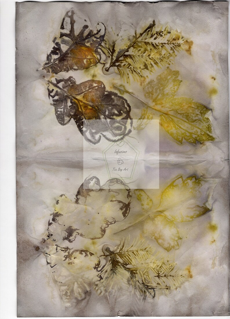 Ephemera Papers, Natural Prints, Botanical Papers, Digital Printable