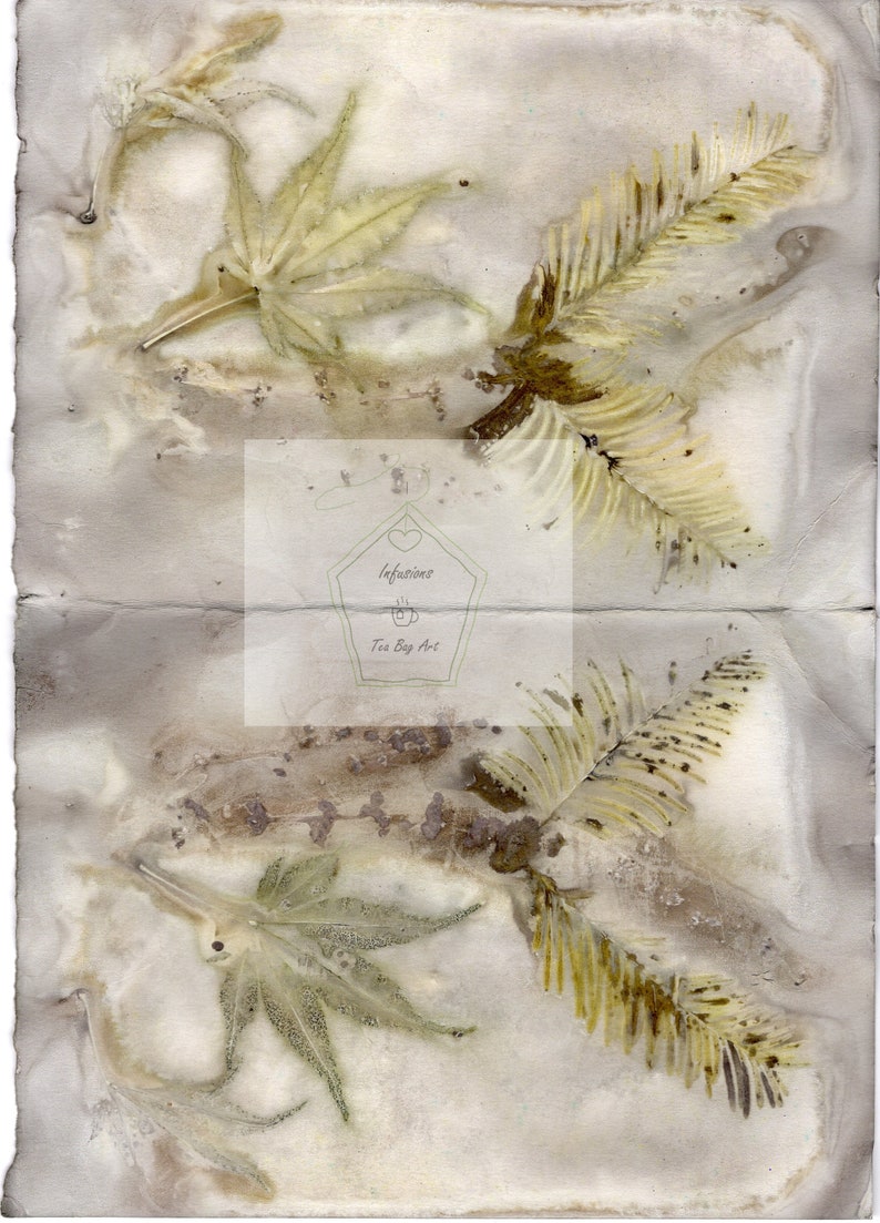 Ephemera Papers, Natural Prints, Botanical Papers, Digital Printable
