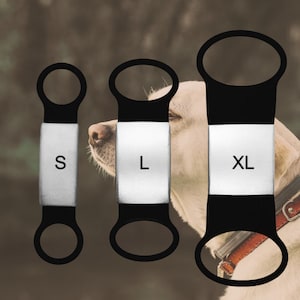 Personalized Dog Tag: Stainless Steel, No Jingle Slide-On Collar