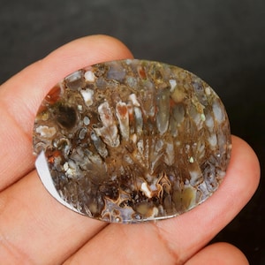Plume Agate