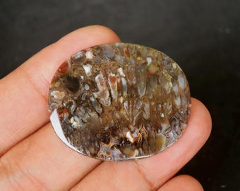 Plume Agate