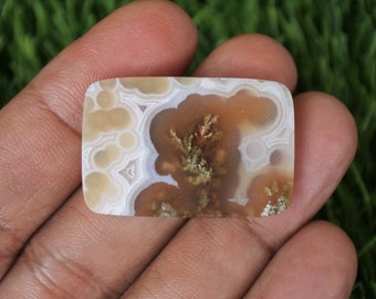 Op de afbeelding: Een gepolijste agaat cabochon met een wit, bruin en oranje kleurpatroon. De agaat heeft een dendritisch patroon in het midden.
