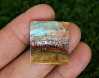 Multicolor Opalized Petrified Wood