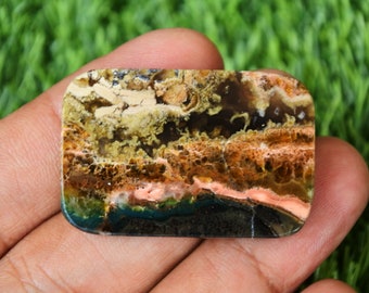 Blue Opalized Petrified Wood
