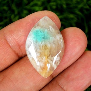 Opalized Petrified Wood