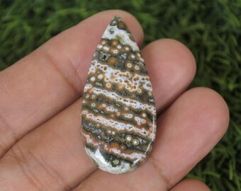 May include: A polished, teardrop-shaped gemstone featuring a distinctive pattern of brown, white, and green spots and stripes. The stone is held in a hand, highlighting its natural colours and textures. Suitable for jewellery making.