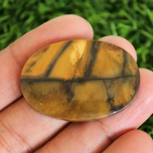 May include: Oval-shaped gemstone in shades of yellow and brown, with dark brown veining. The stone is held in a hand, set against a green backdrop. The gemstone's dimensions are approximately 4 cm in length.