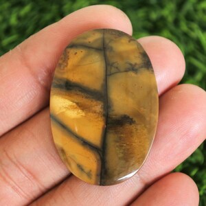 May include: Oval-shaped gemstone with a polished surface. The stone features a blend of golden yellow and brown hues, with dark, vein-like patterns running across its surface. The gemstone is held in a hand against a blurred green background.
