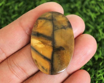 May include: An oval gemstone with a polished finish. The stone displays a mix of golden yellow and brown colours, with dark, vein-like patterns across its surface. The gemstone is held in a hand against a blurred green background.