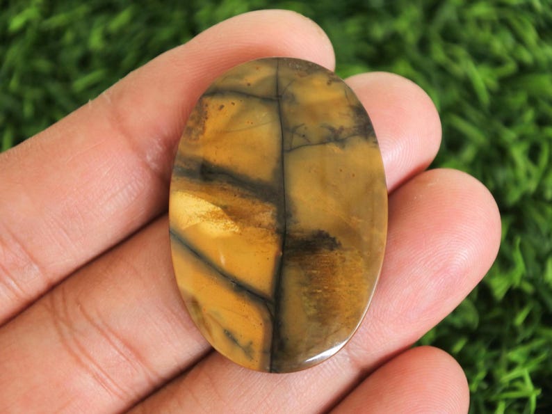 May include: An oval gemstone with a polished finish. The stone displays a mix of golden yellow and brown colours, with dark, vein-like patterns across its surface. The gemstone is held in a hand against a blurred green background.