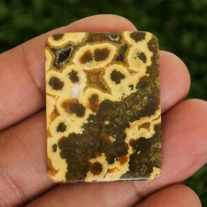 May include: A rectangular gemstone with a unique pattern of brown and yellow spots and swirls. The stone is held in a hand, showcasing its polished surface and natural colors. The gemstone is a decorative item.