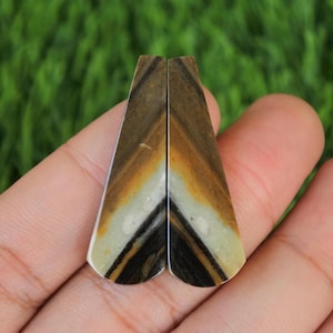 May include: Two brown, white, and black striped cabochons with a pointed shape. The cabochons are approximately 2 inches long and 1 inch wide.