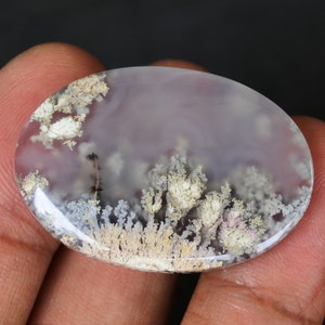 Könnte beinhalten: Ein weißer Achat-Cabochon mit dendritischen Einschlüssen. Der Achat hat eine durchscheinende, milchig weiße Basis mit braunen, grauen und weißen Dendriten. Der Cabochon ist oval geformt und hat eine glatte, polierte Oberfläche.