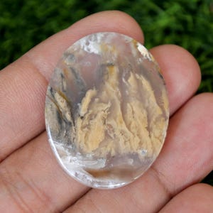 Puede incluir: Gema ovalada con un patrón único de tonos beige, marrón y blanco. La superficie pulida muestra un diseño similar a un paisaje, con áreas de color claro y oscuro. La piedra se sostiene en una mano sobre un fondo verde borroso.