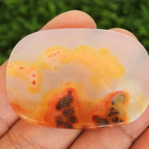 Pode incluir: Uma pedra preciosa polida, de formato oval, com base transl&uacute;cida. A pedra apresenta padr&otilde;es em espiral de tons laranja, amarelo e vermelho, com manchas escuras. A pedra preciosa &eacute; segurada em uma m&atilde;o contra um fundo verde desfocado.