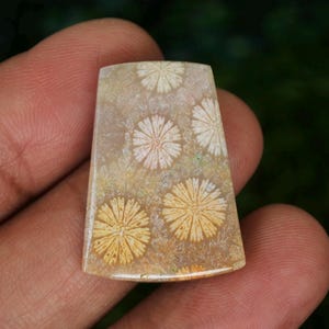 May include: A rectangular, polished stone with a floral pattern. The stone has a beige background with yellow and white flower-like designs. The stone is held in a hand, with a blurred green background.