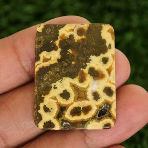 Op de afbeelding: Een rechthoekige edelsteen met een uniek patroon van donkerbruine en geelbeige vlekken en wervelingen. De steen wordt in een hand gehouden, waarbij het gepolijste oppervlak en de natuurlijke variaties worden benadrukt. De edelsteen wordt waarschijnlijk gebruikt voor sieraden of decoratieve doeleinden.