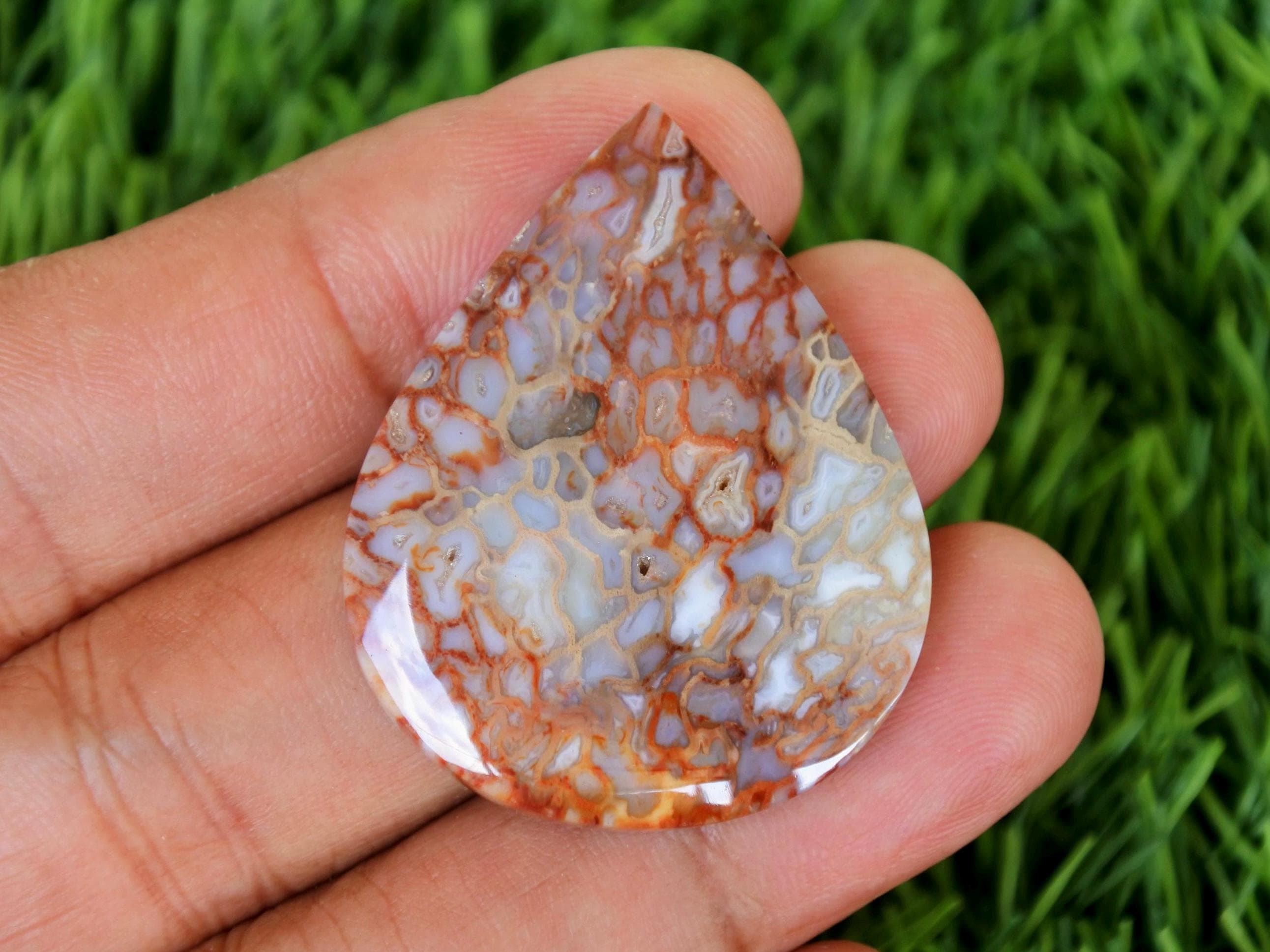 化石化したヤシの木片（39 mm × 31 mm × 6 mm） - Etsy 日本