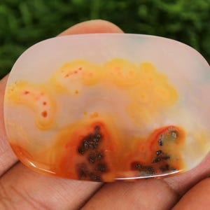 Pode incluir: Uma pedra preciosa polida em forma oval com uma base transl&uacute;cida. A pedra apresenta padr&otilde;es em espiral de tons laranja, amarelo e vermelho, com manchas escuras. A pedra preciosa &eacute; segurada em uma m&atilde;o contra um fundo verde desfocado.