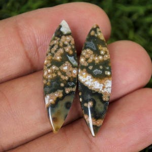 Puede incluir: Dos cabujones de piedras preciosas pulidas con forma de hoja. Las piedras presentan una mezcla de colores verde oscuro, marrón y blanco con un patrón moteado. Los cabujones son lisos y tienen un acabado brillante.