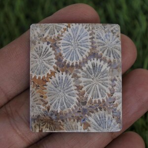 Coral Agate Stone: Agate Jewelry Rock (40.5mm x 34mm)