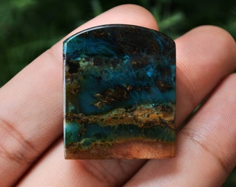 Blue Opalized Petrified Wood