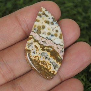 Puede incluir: Una piedra preciosa en forma de lágrima con un patrón único de marrón, beige y blanco. La piedra tiene una superficie pulida y se sostiene en una mano sobre un fondo verde. El diseño de la piedra preciosa presenta manchas y remolinos.