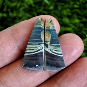 May include: Two polished, triangular gemstones with a layered pattern of blue, white, yellow, and black. The stones are held in a hand against a blurred green background, showcasing their unique colour variations and textures.