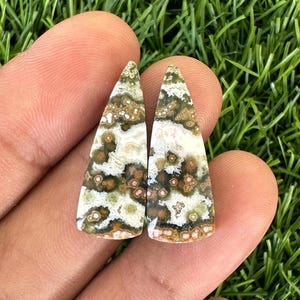 May include: Two polished, triangular gemstones with a unique pattern of brown, green, and white spots and swirls. The stones are held in a hand against a backdrop of green grass. These gemstones are ideal for jewelry making.