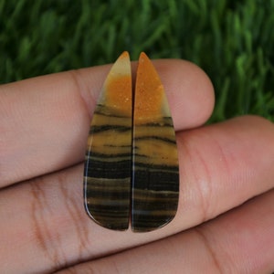 May include: Two teardrop-shaped cabochons of banded agate with brown, black, and yellow stripes. The cabochons are approximately 5 cm long and are held in a hand.