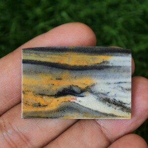 May include: A close-up of a yellow, black, and white banded agate cabochon. The cabochon is smooth and polished, with a natural, organic pattern.