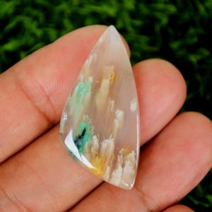 Opalized Petrified Wood