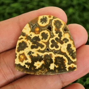 Może przedstawiać: Wypolerowany, łukowaty kamień szlachetny o unikalnym wzorze. Kamień ma mieszankę ciemnobrązowych, żółtych i kremowych kolorów, z charakterystycznym kwiatowym wzorem. Kamień szlachetny jest trzymany w dłoni, prezentując swoje naturalne piękno.