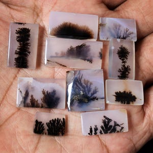May include: Assortment of ten white agate cabochons with black dendritic patterns. The cabochons are various sizes and shapes, and some have a translucent appearance.