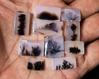 10 Dendritic Agate Stones: Agate Jewelry Rocks (13mm-24.5mm)