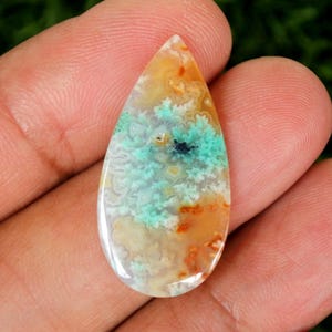 Scenic Multicolor Opalized Petrified Wood